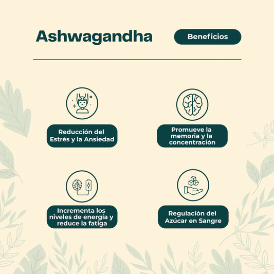Ashwagandha Complejo Vital Balance Complex – Energía, antiestrés y claridad mental